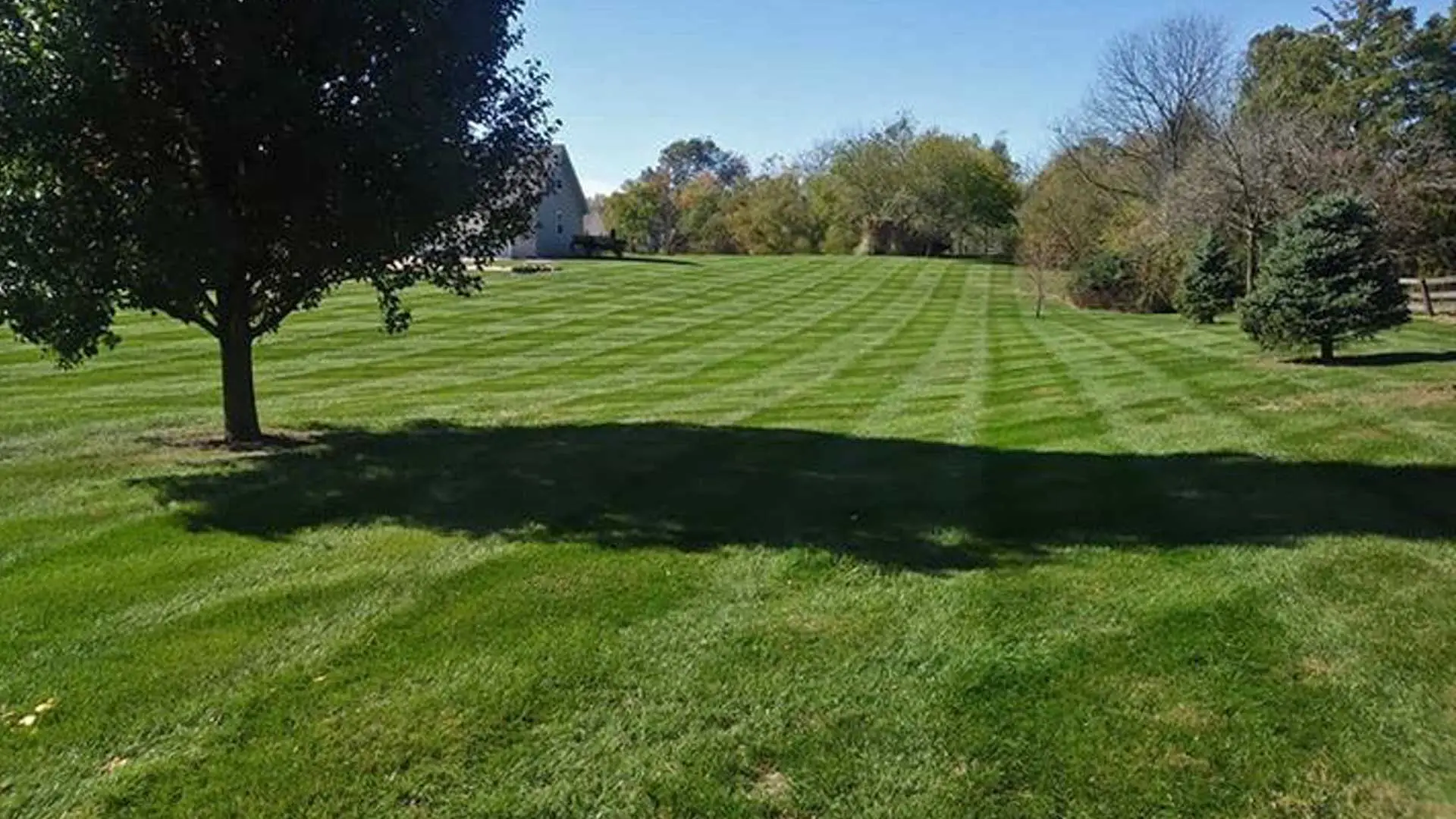 Nicely mowed lawn at a residential property in Alton, IL.