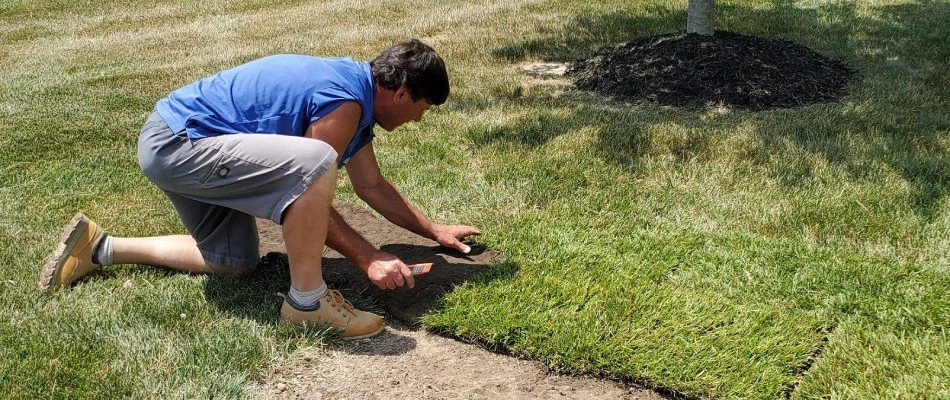 Element Turf professional installing new sod patch to lawn in Godfrey, IL.