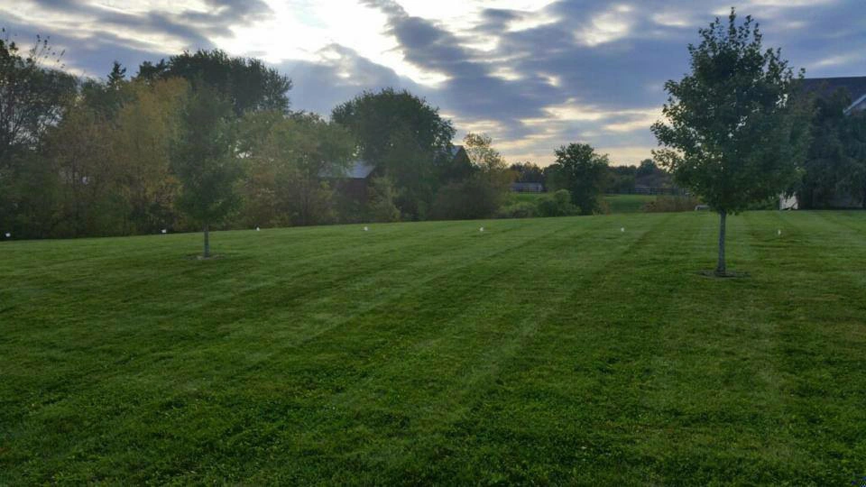 Large mowed property in Godfrey, IL.