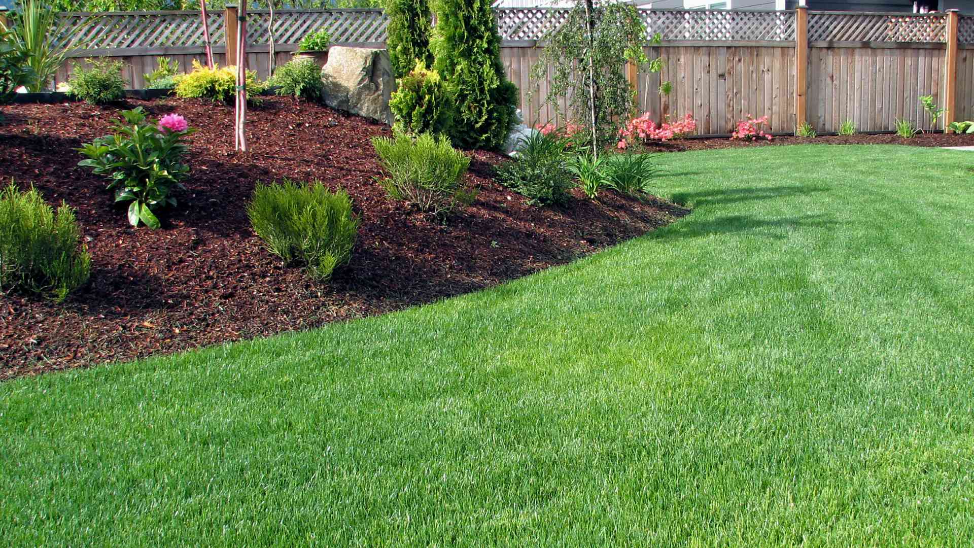 Spring Into the Growing Season With a Refreshing Spring Yard Cleanup!