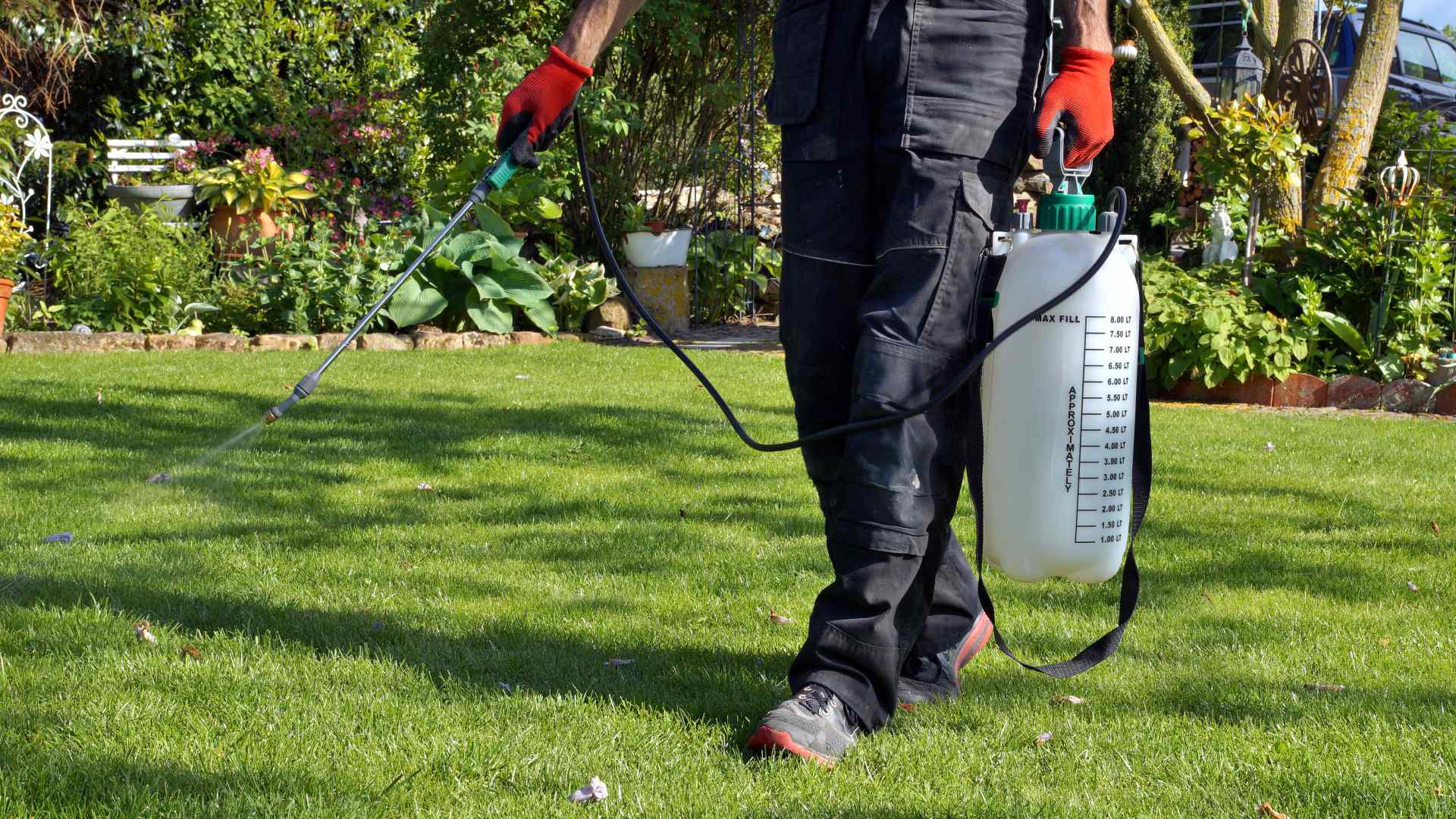 Is Pre-Emergent Weed Control Really Worth it?