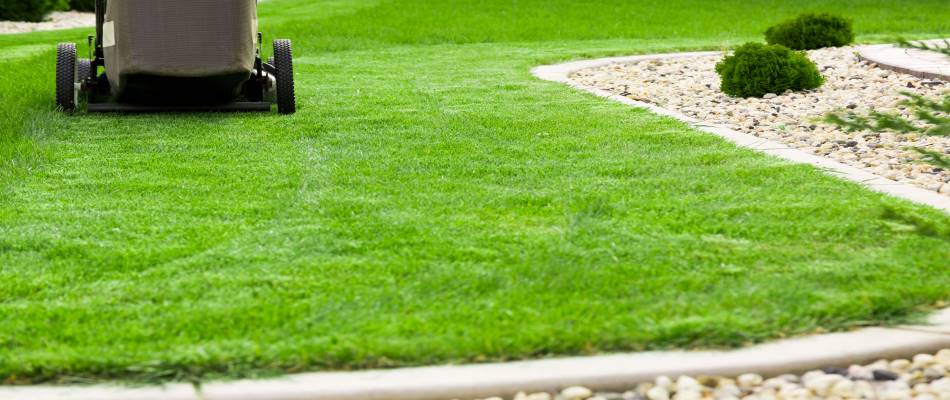 3 Things to Ask Before Hiring a Professional Mowing Company