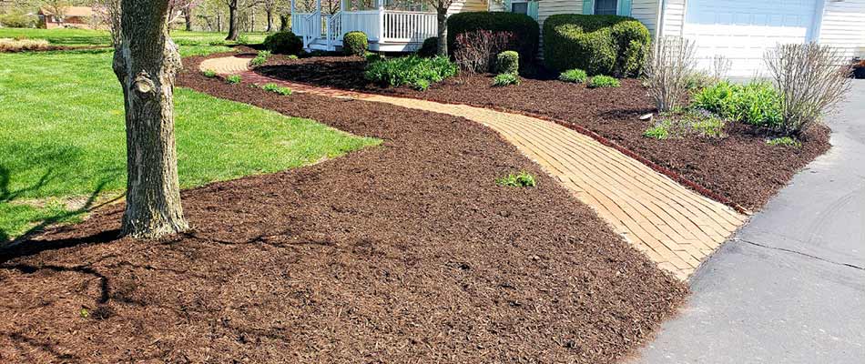 To Mulch or Not to Mulch - That is The Question