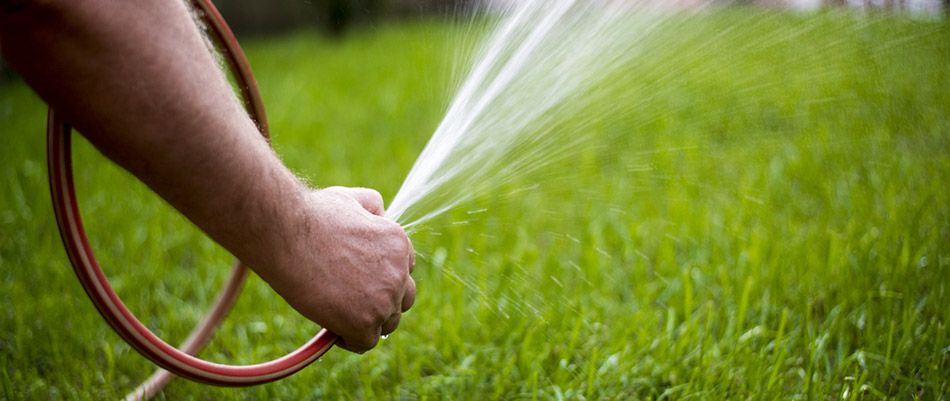 Watering Guide - Know When it's Not the Right Time