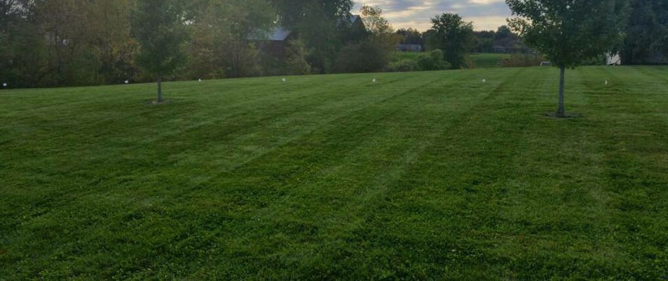 Large yard with regular lawn mowing services in Godfrey, Illinois.