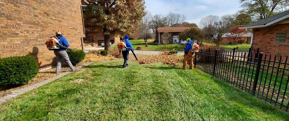 Clearing a yard of leaves and debris in Alton, IL.