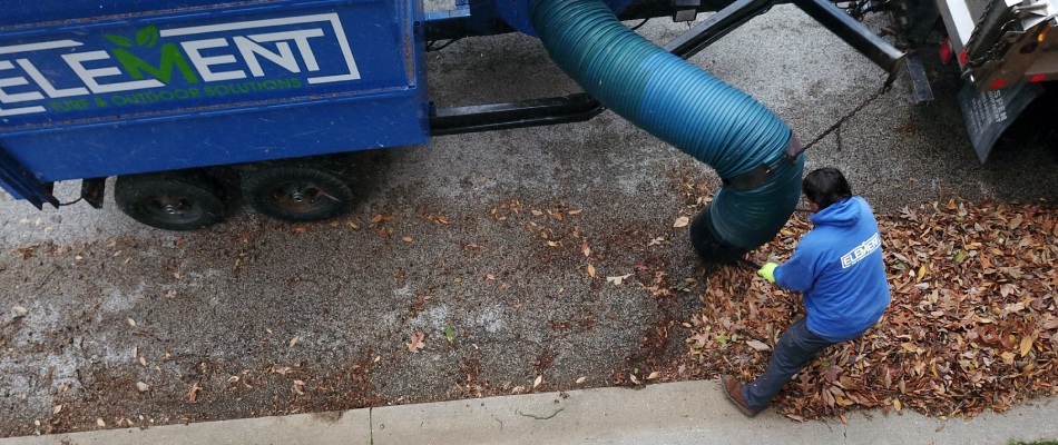 Curbside leaf removal service done by professional in Wood River, IL.