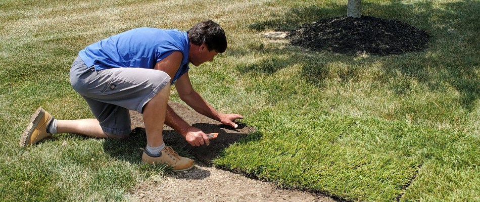 Professional from Element installing sod for a client in Roxana, IL.