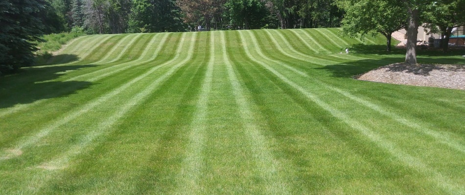 Freshly mowed lawn with stripe patterns added in Moro, IL.