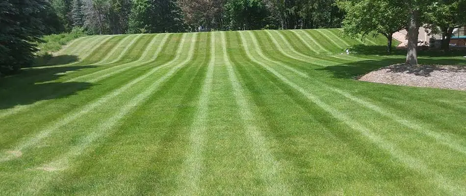 Freshly mowed home lawn in Godfrey, Illinois.