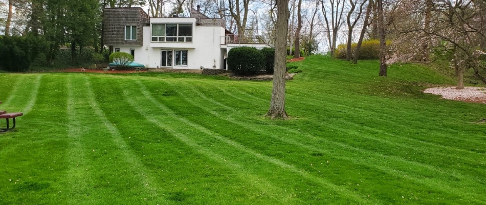 Lawn mowed with stripes added in East Alton, IL.