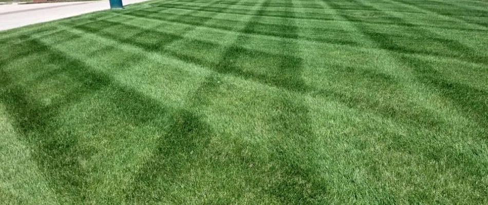 Mowed lawn with patterns in Moro, IL.