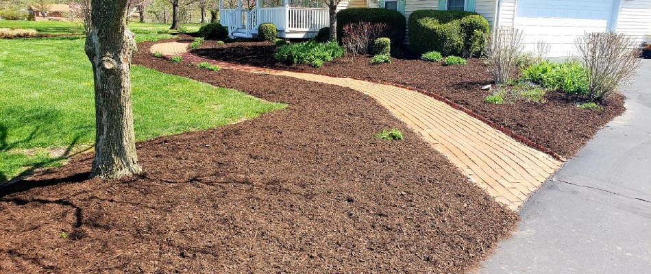 Mulch installed for home front lawn beds in Troy, IL.