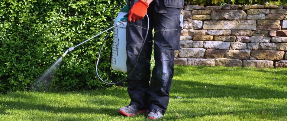 Professional applying preventative grub control insecticide to lawn in Godfrey, IL.