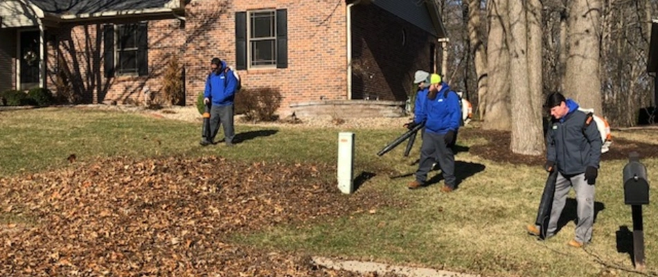 Professionals cleaning up a yard in the fall time in South Roxana, IL.