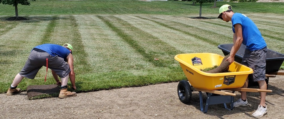 Element professionals installed sod for lawn in Moro, IL.