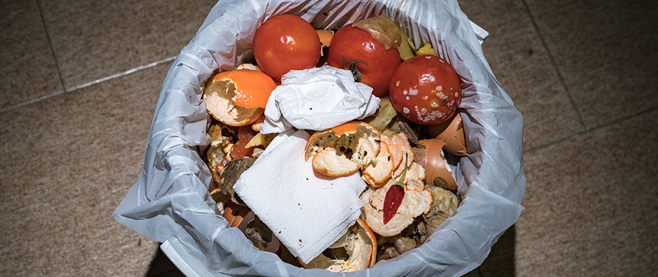 A Dirty Trash Bin Causes More Than Just a Stink
