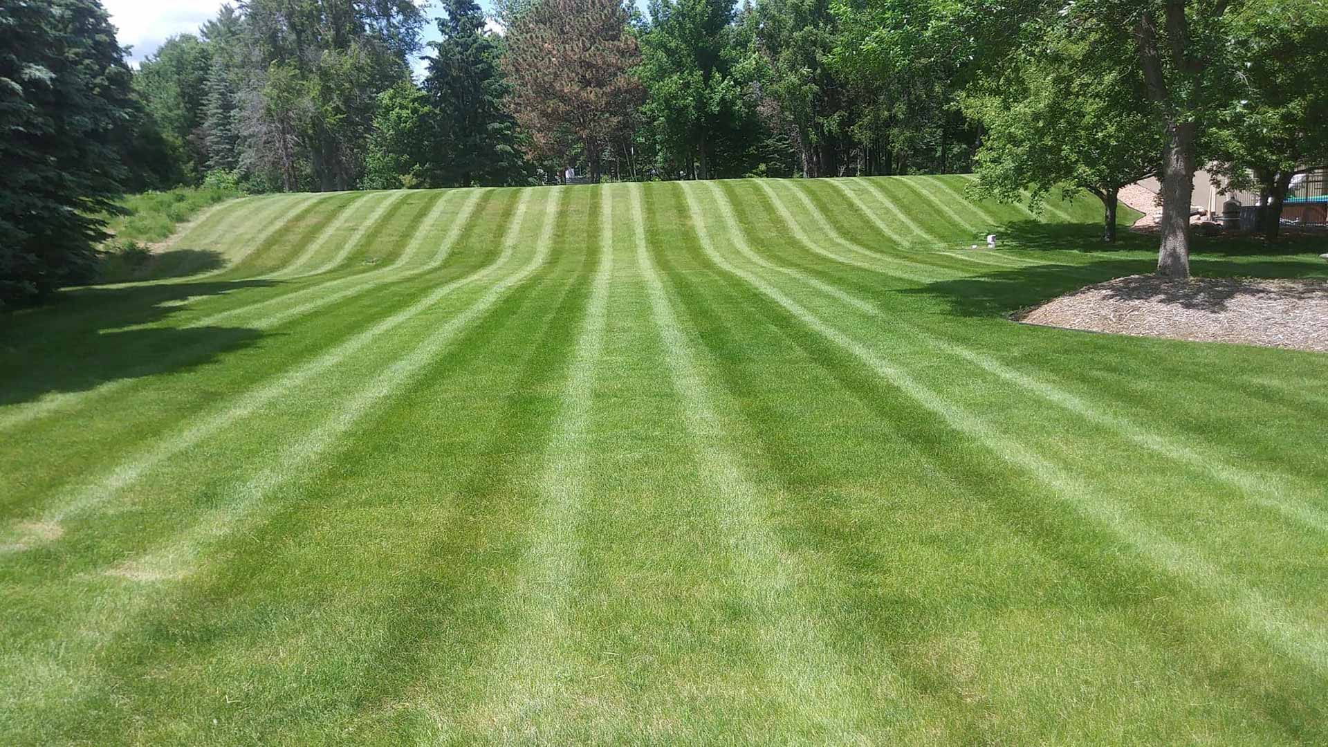 Freshly mowed large lawn near Alton, Illinois.
